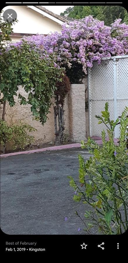 The Beverly Kingston Exterior photo